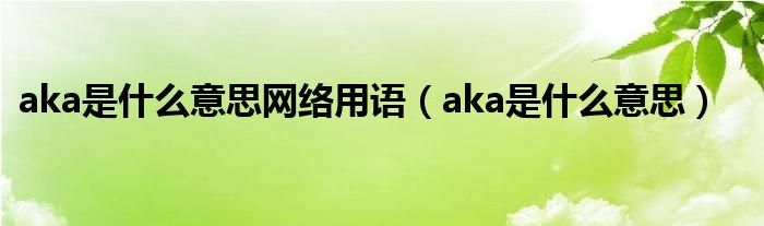 aka是什么意思网络用语【aka是什么意思】