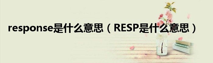 response是什么意思【RESP是什么意思】