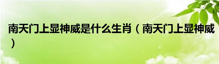 南天门上显神威是什么生肖【南天门上显神威】