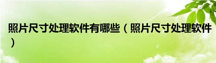 照片尺寸处理软件有哪些【照片尺寸处理软件】