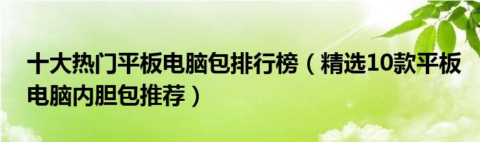 十大热门平板电脑包排行榜【精选10款平板电脑内胆包推荐】