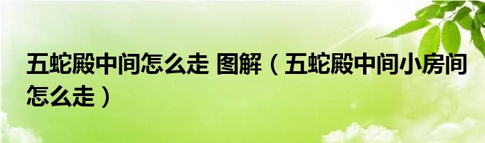 五蛇殿中间怎么走 图解【五蛇殿中间小房间怎么走】