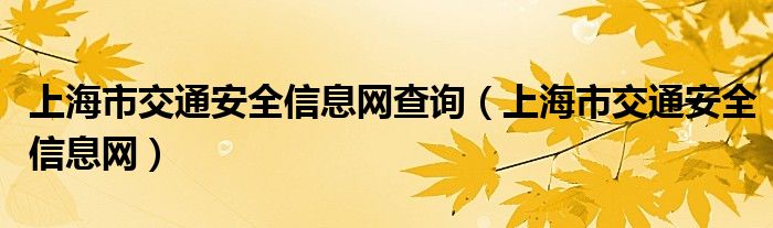 上海市交通安全信息网查询【上海市交通安全信息网】