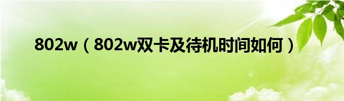 802w【802w双卡及待机时间如何】