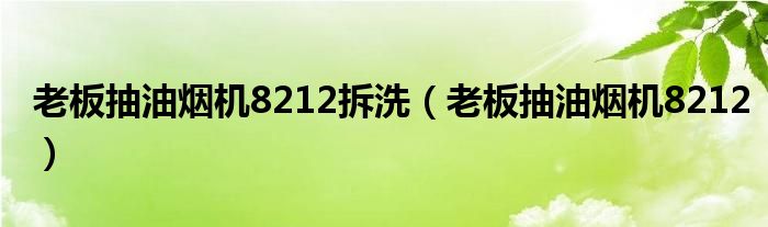 老板抽油烟机8212拆洗【老板抽油烟机8212】