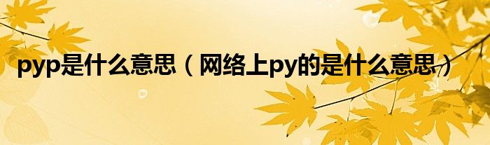 pyp是什么意思【网络上py的是什么意思】