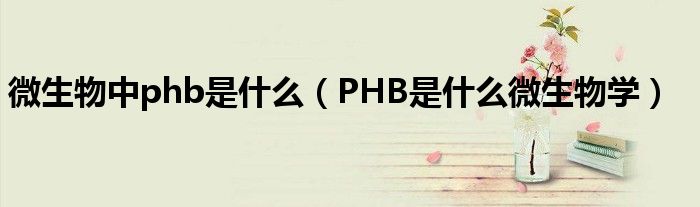 微生物中phb是什么【PHB是什么微生物学】