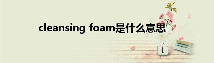 cleansing foam是什么意思