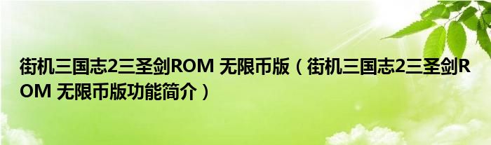 街机三国志2三圣剑ROM 无限币版【街机三国志2三圣剑ROM 无限币版功能简介】