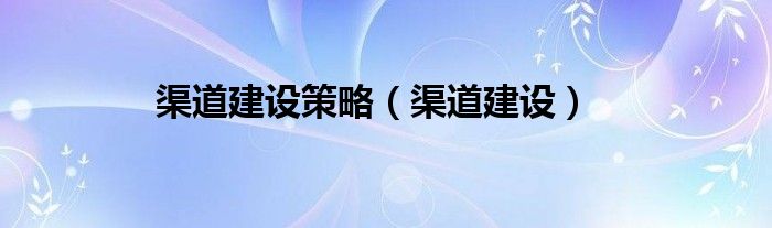 渠道建设策略【渠道建设】