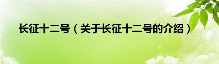 长征十二号【关于长征十二号的介绍】