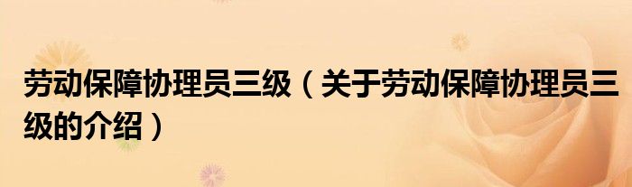 劳动保障协理员三级【关于劳动保障协理员三级的介绍】