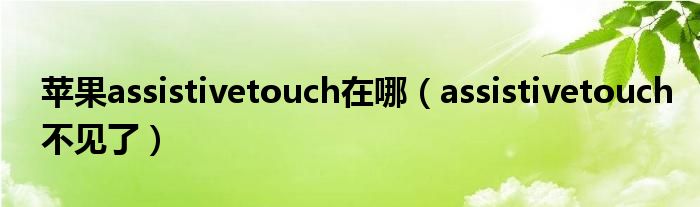 苹果assistivetouch在哪【assistivetouch不见了】