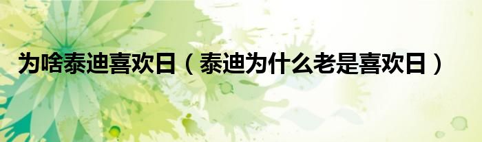 为啥泰迪喜欢日【泰迪为什么老是喜欢日】