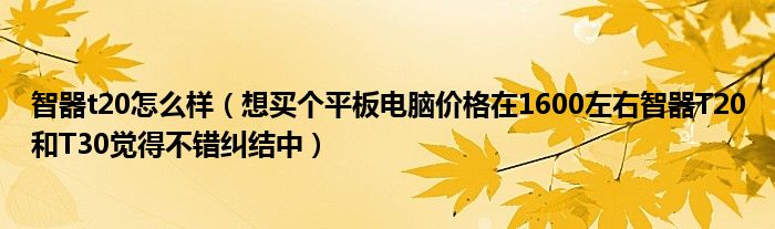 智器t20怎么样【想买个平板电脑价格在1600左右智器T20和T30觉得不错纠结中】