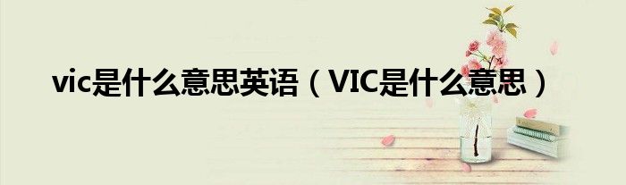 vic是什么意思英语【VIC是什么意思】