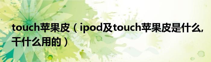 touch苹果皮【ipod及touch苹果皮是什么,干什么用的】