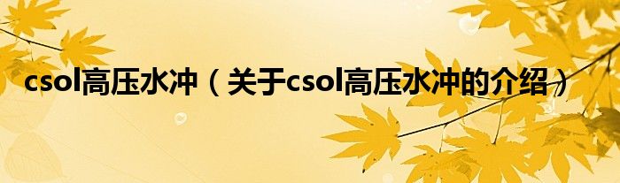 csol高压水冲【关于csol高压水冲的介绍】