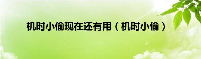 机时小偷现在还有用【机时小偷】