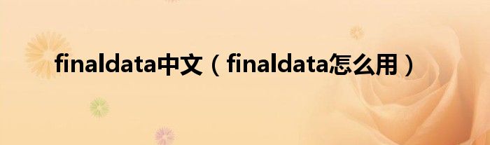 finaldata中文【finaldata怎么用】