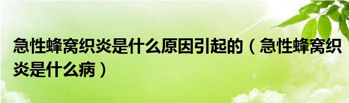 急性蜂窝织炎是什么原因引起的【急性蜂窝织炎是什么病】