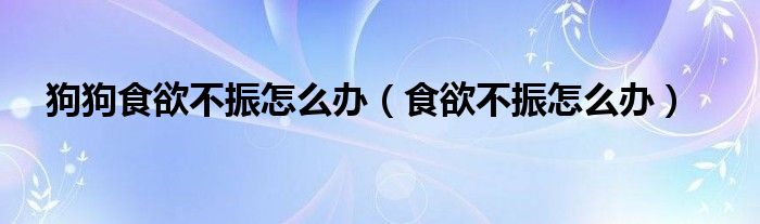 狗狗食欲不振怎么办【食欲不振怎么办】