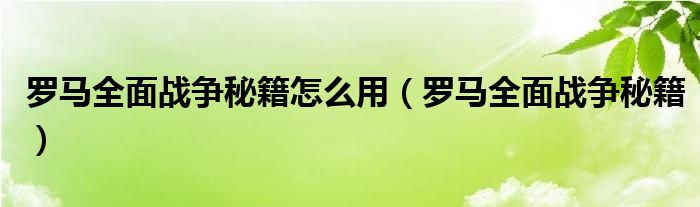 罗马全面战争秘籍怎么用【罗马全面战争秘籍】