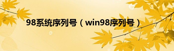 98系统序列号【win98序列号】