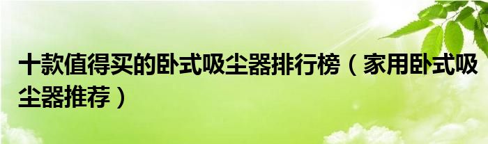 十款值得买的卧式吸尘器排行榜【家用卧式吸尘器推荐】