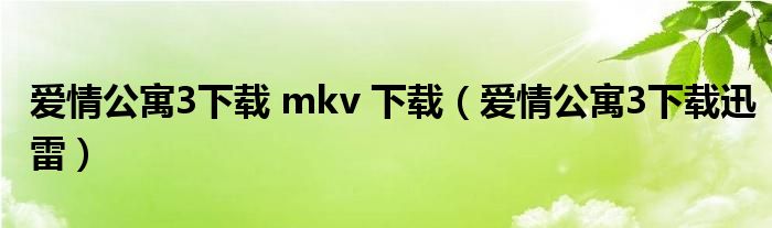 爱情公寓3下载 mkv 下载【爱情公寓3下载迅雷】