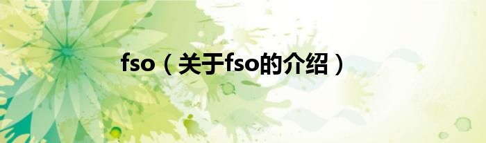 fso【关于fso的介绍】